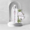 KRISTI ROSE Cleansing gel AHA / Очищающий гель с АНА-кислотами 250 мл PK010181 - фото 7336