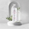 KRISTI ROSE Pre-peeling tonic vitamin C / Предпилинговый лосьон с витамином С 250 мл PK010182 - фото 7338