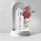 KRISTI ROSE Soothing spray HA / Успокаивающий спрей с гиалуроновой кислотой 150 мл PK010184 - фото 7342