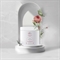 KRISTI ROSE Alginate mask vitamin C / Альгинатная маска с витамином С 360 гр PK010187 - фото 7348